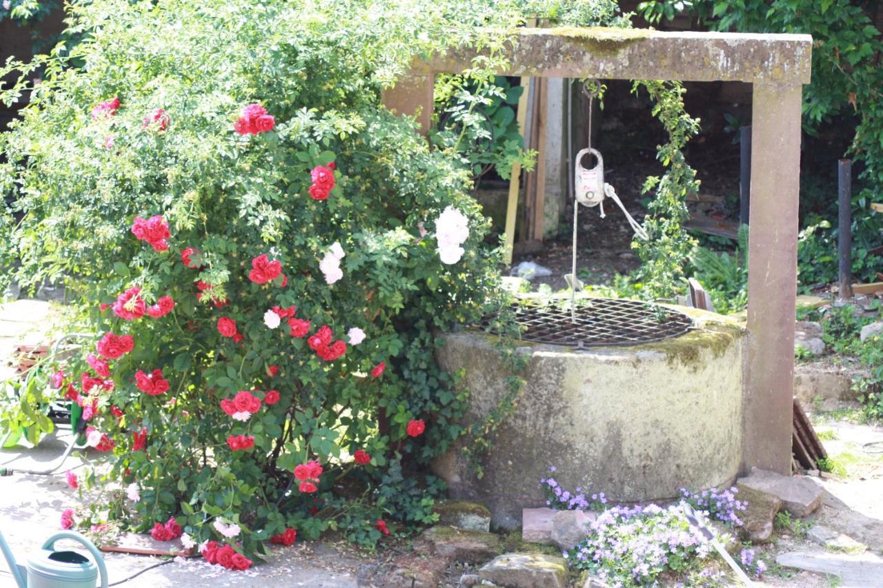 La Grange Aux Coqs Bed & Breakfast Ittenheim Exterior foto